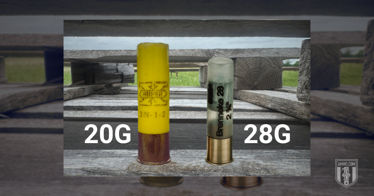 20 Gauge and 28 Gauge shells displayed side by side outdoors for a final comparison of the two sub-gauges