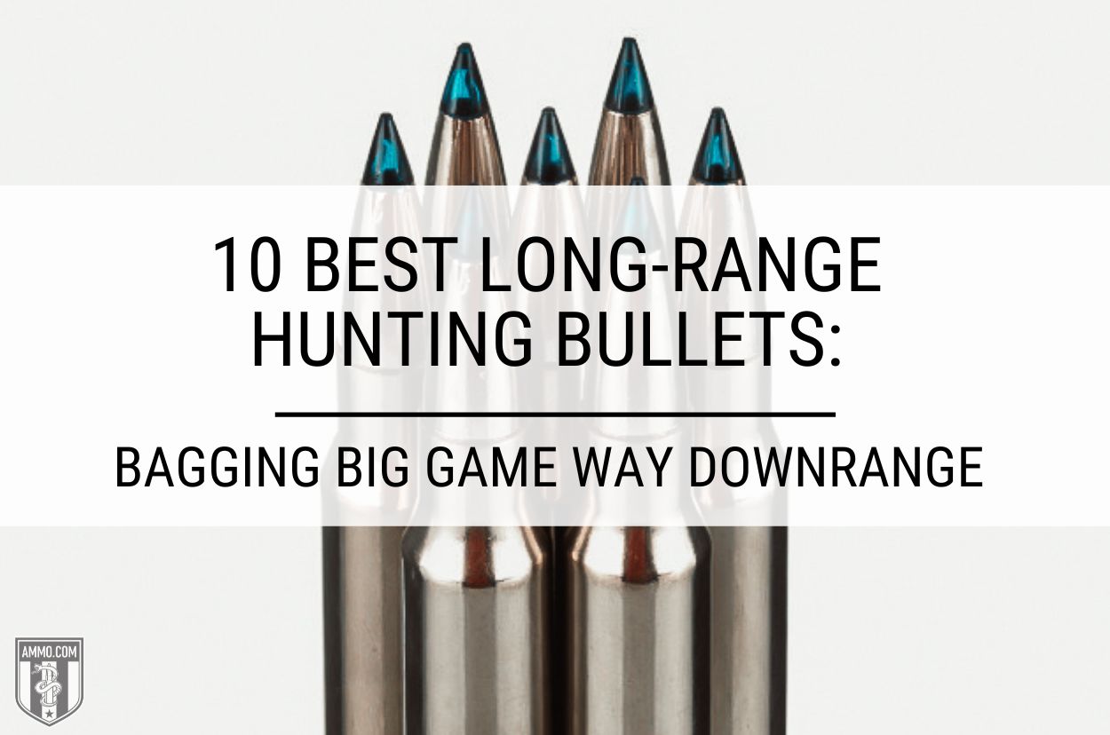 10 Best Long-Range Hunting Bullets