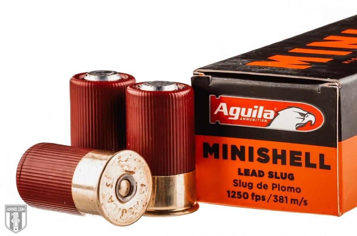 12 gauge shotgun shell