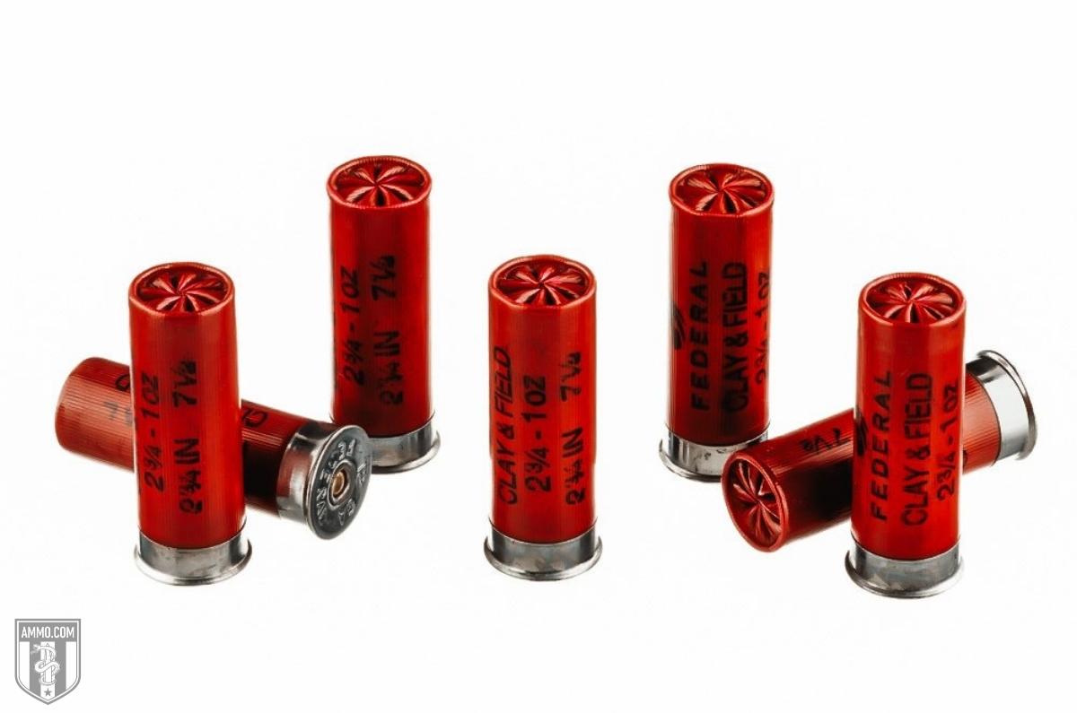 What You Should Know About Shotgun Shells - Bird Hunting Article