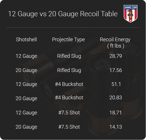 Comparing 12 Gauge vs 20 Gauge - What's A Better Shotgun Bet?