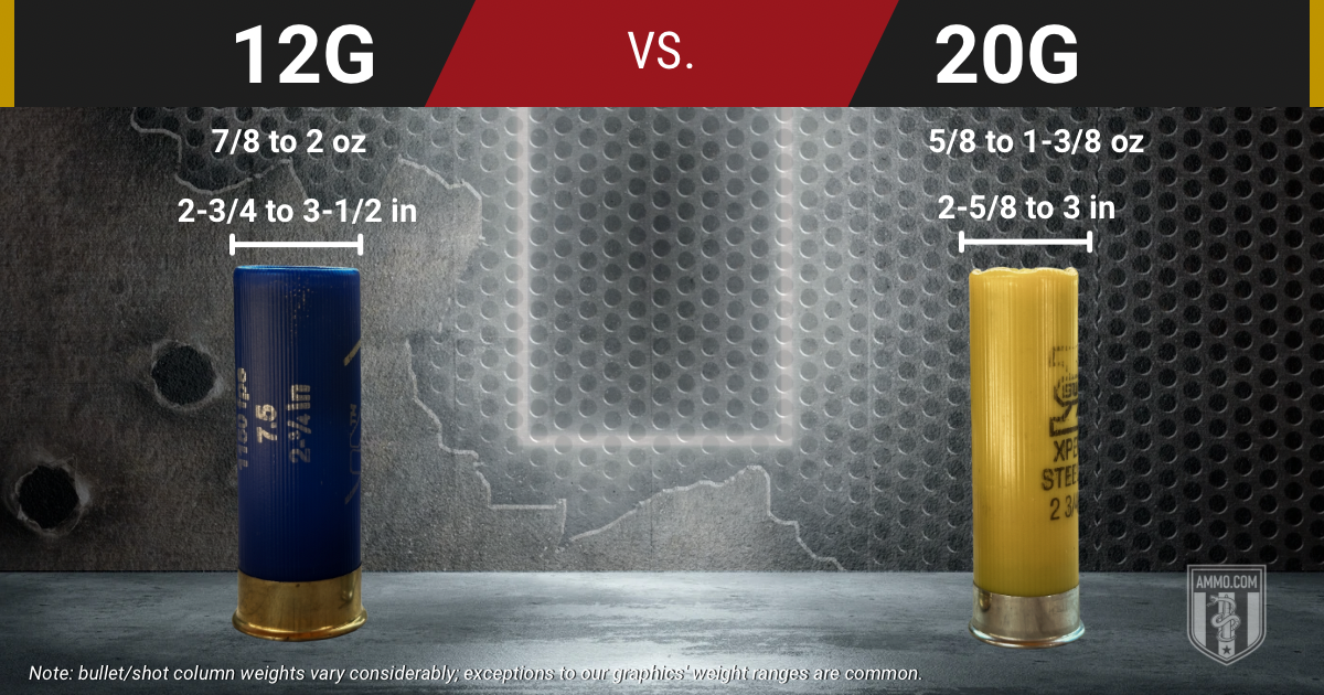 12 Gauge vs. 20 Gauge cartridge comparison chart showing dimensions and bullet weight ranges