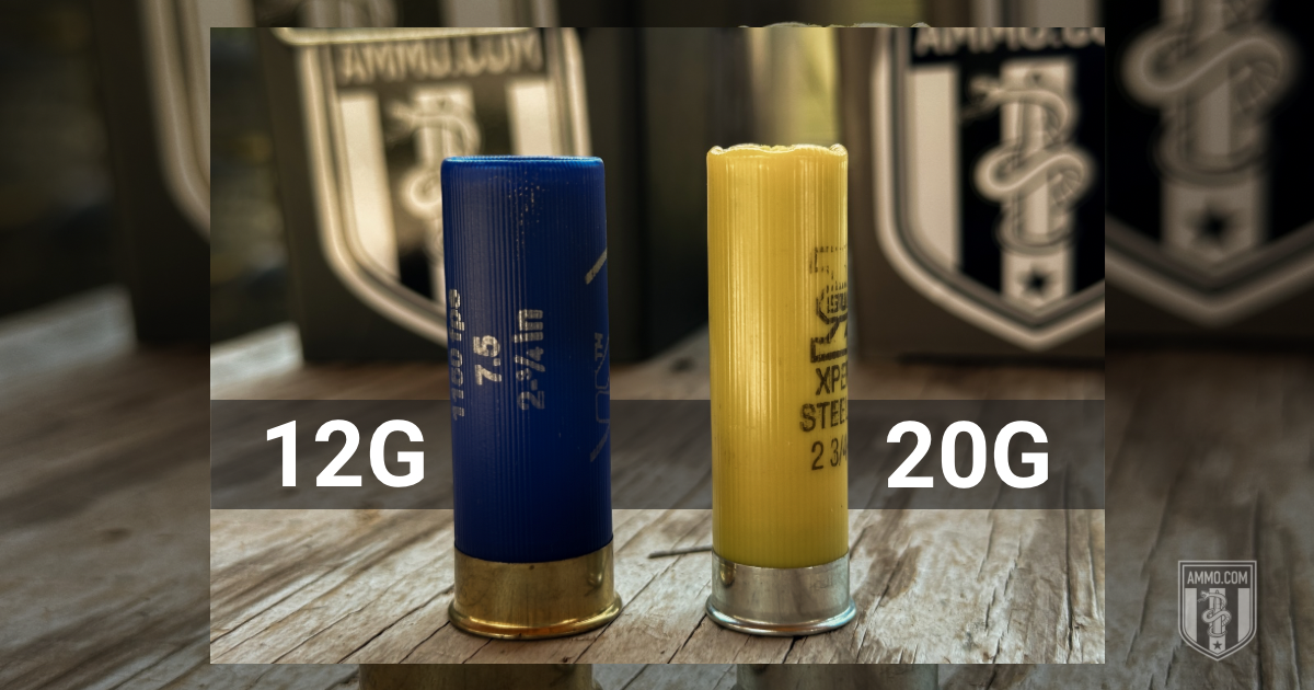 12 Gauge vs. 20 Gauge ammunition cartridges side-by-side size comparison on wooden surface