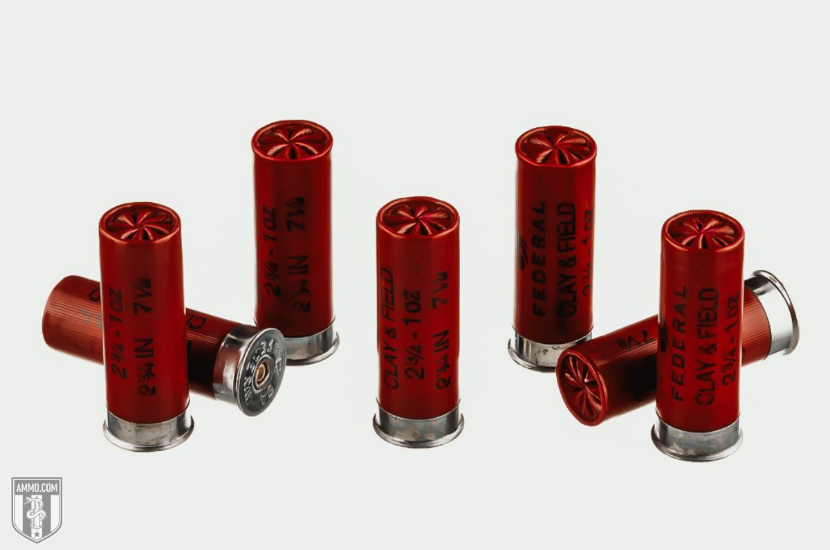 16ga Vs 12ga Shotgun Gauge Comparison By Experts At Ammo