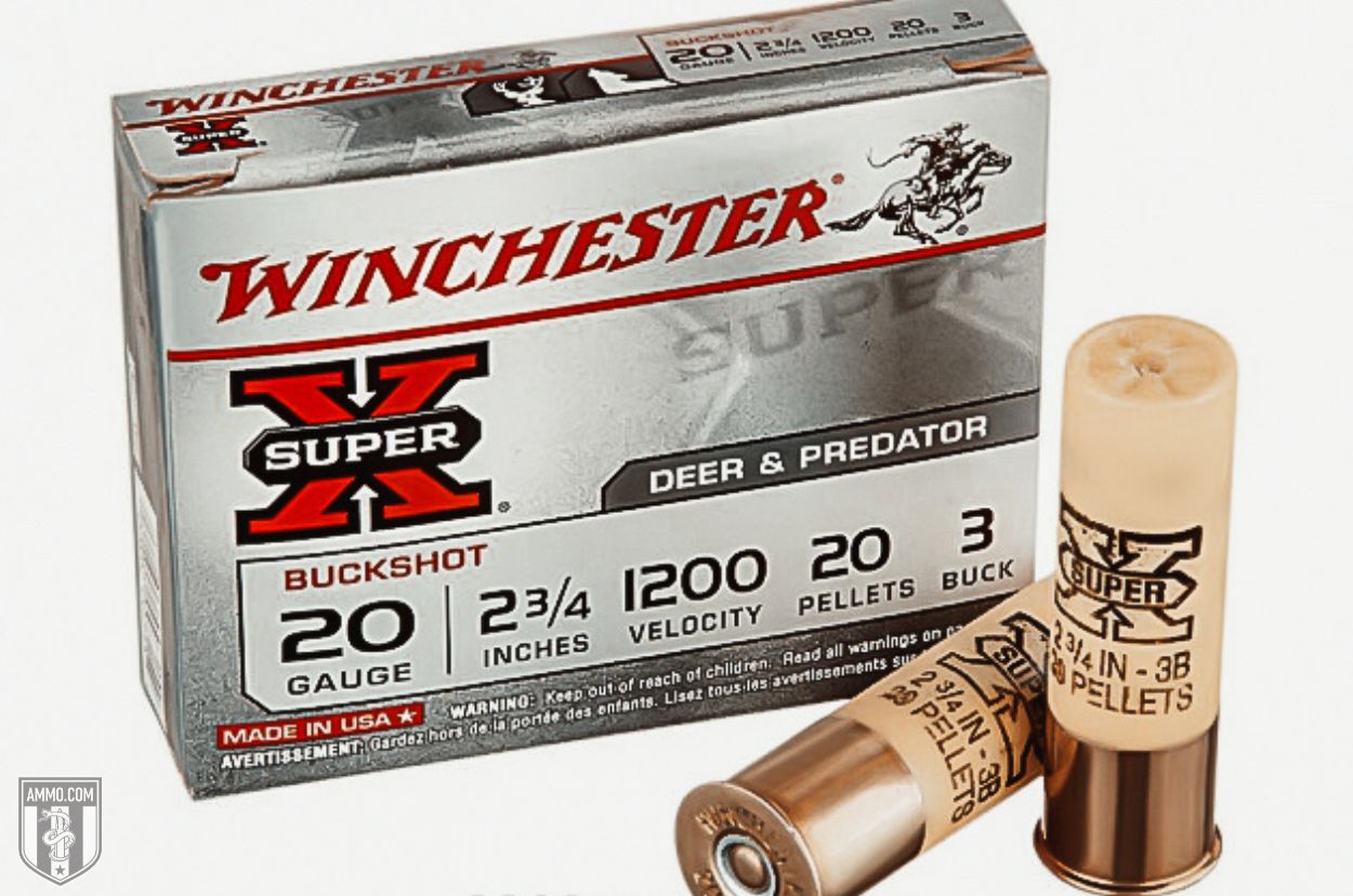 Best 20 Gauge Ammo Recommended By Experts At Ammo