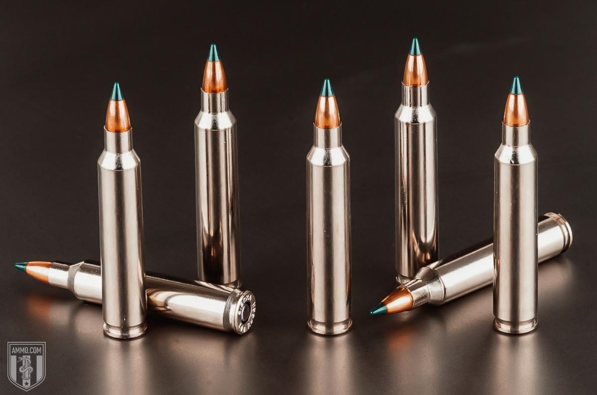 204 Ruger ammo for sale