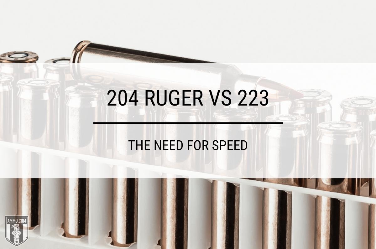 204 Ruger vs 223 ammo