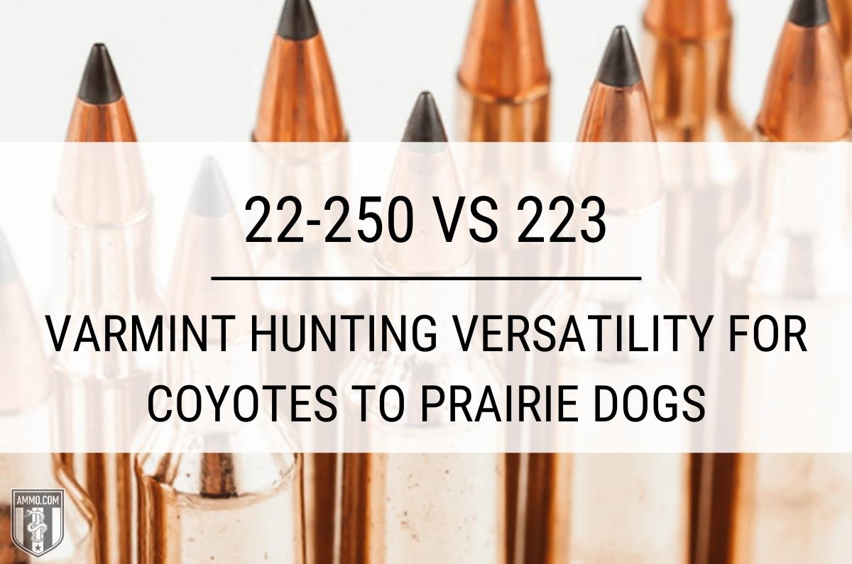 22-250 vs 223: Varmint Hunting Versatility for Coyotes to Prairie 