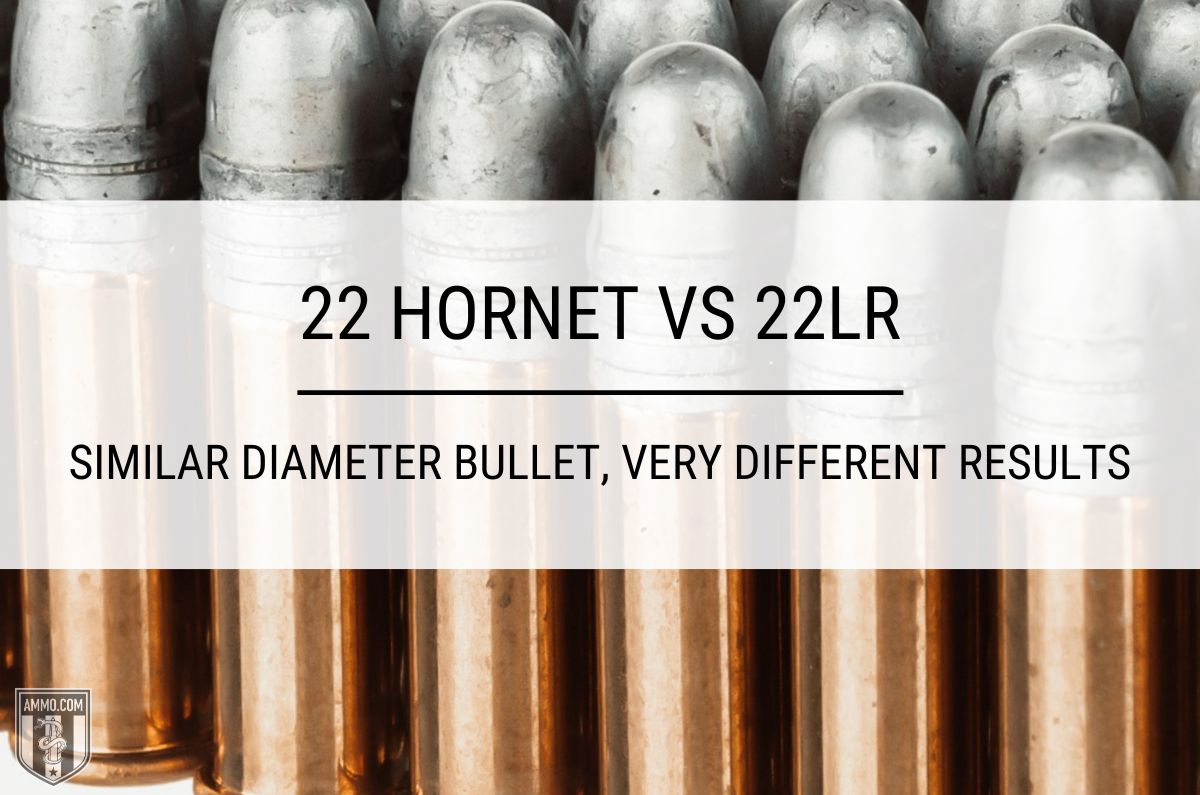 22 Hornet vs 22 LR