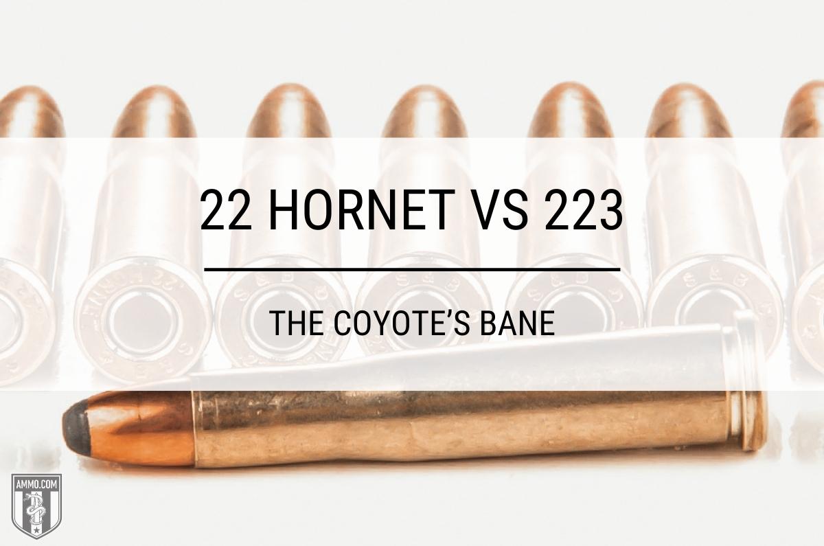 22 Hornet vs 223 ammo