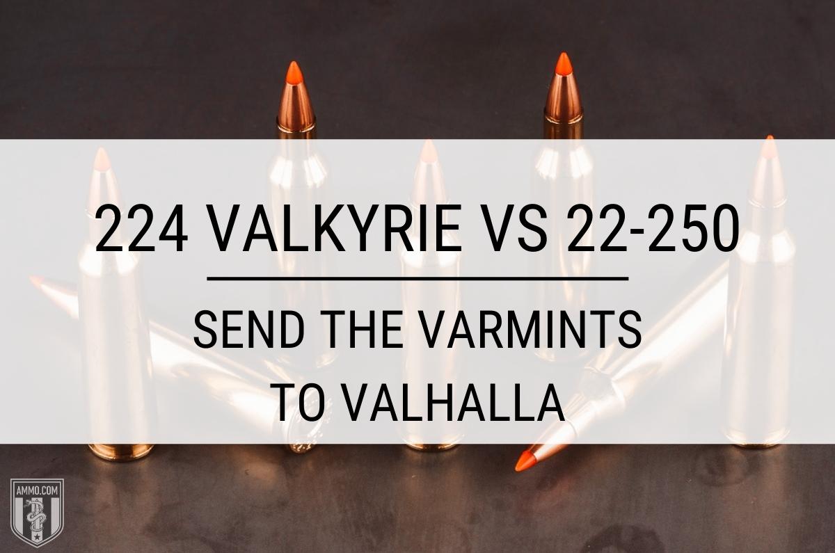 224 valkyrie vs 22-250