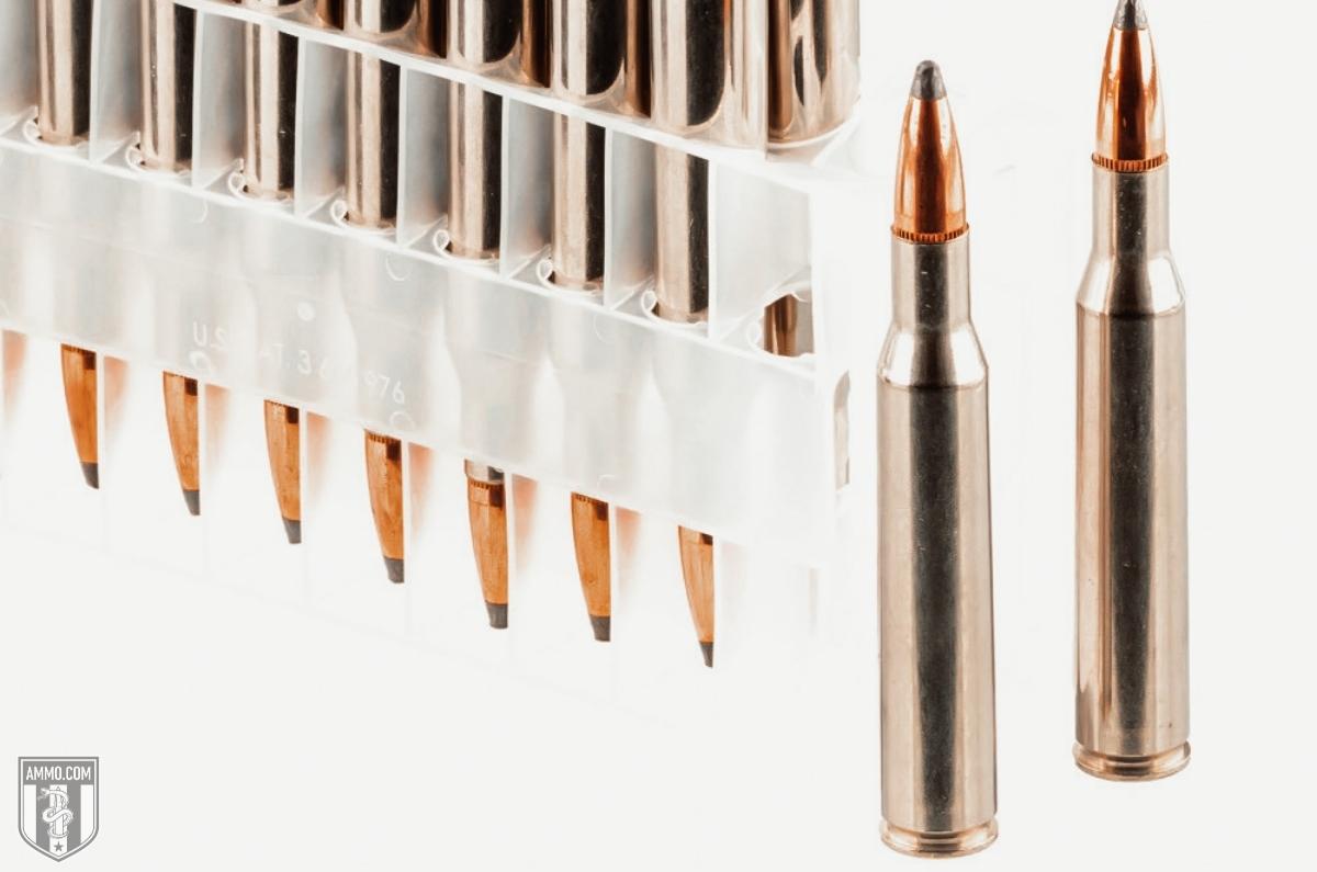 243 vs 270 The Deer Hunting Caliber Debate by Ammo