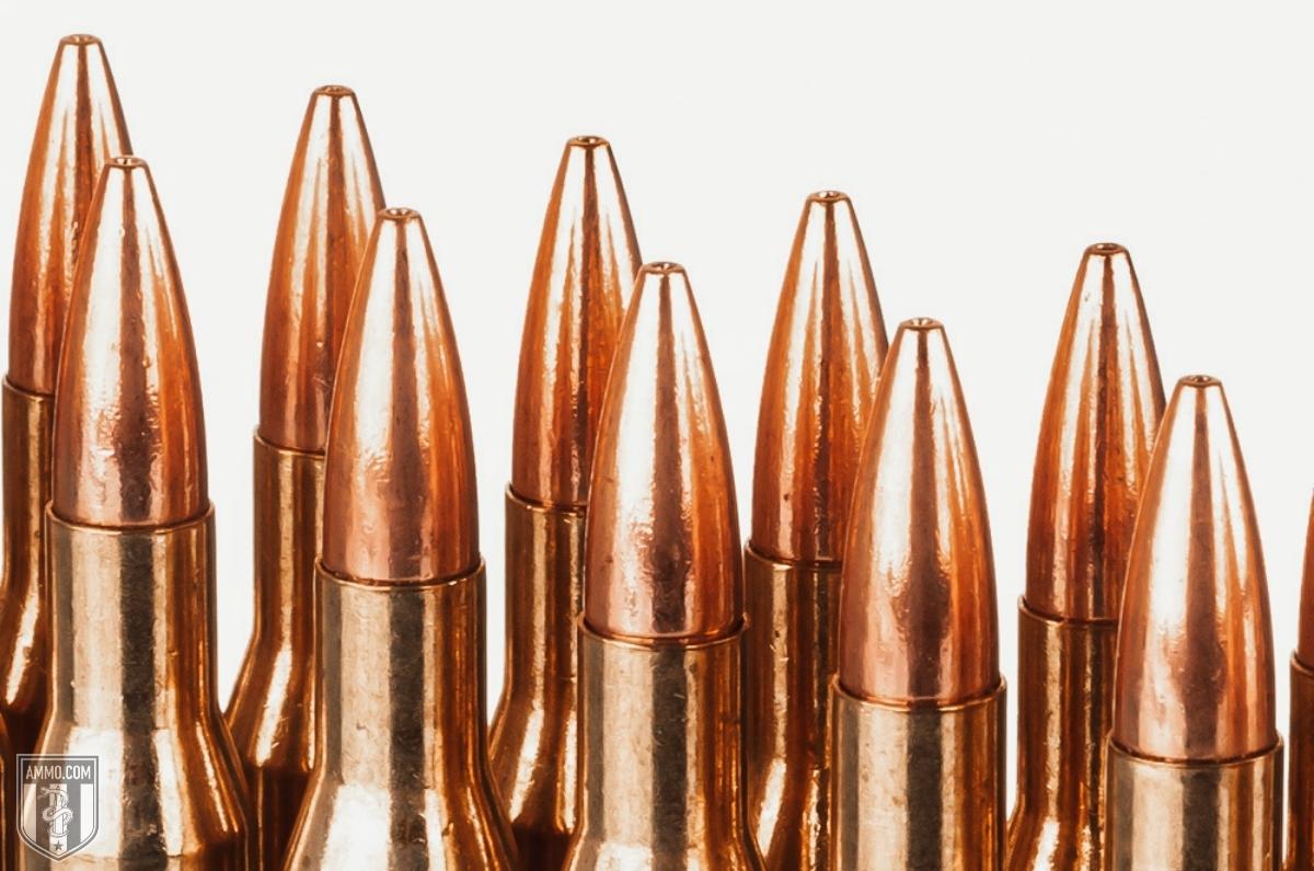 270 Winchester Ammo