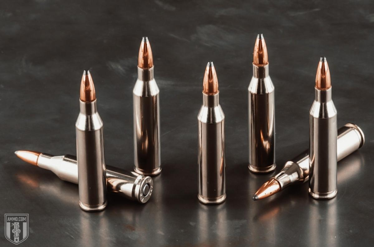 .243 Winchester ammo for sale