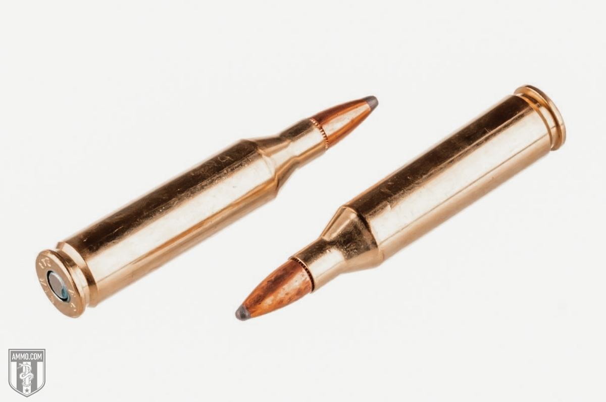 243 vs 270 caliber comparison