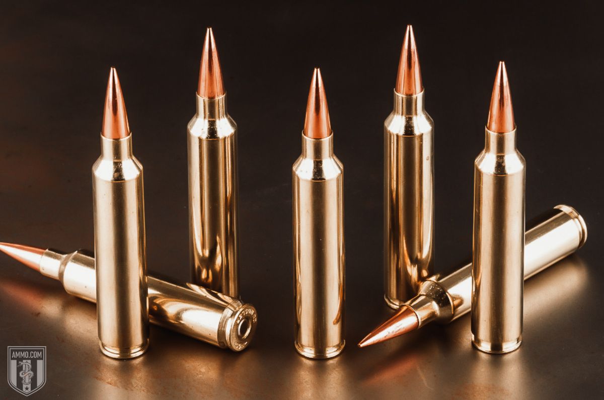 26 Nosler Cartridge: The Flattest-Shooting 6.5 Ever?