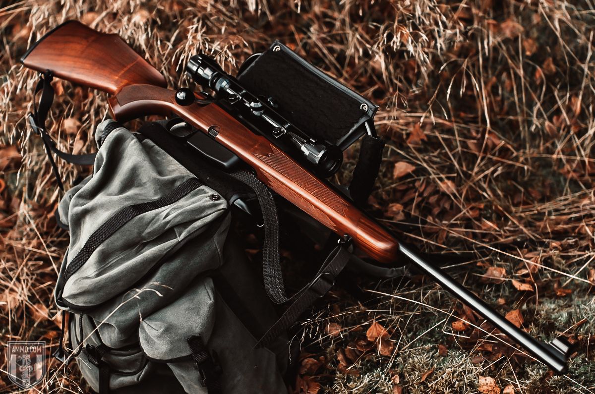 270 hunting rifle