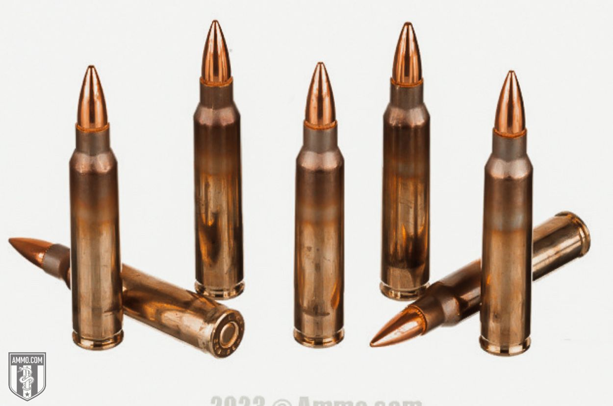 223 Rem ammo for sale
