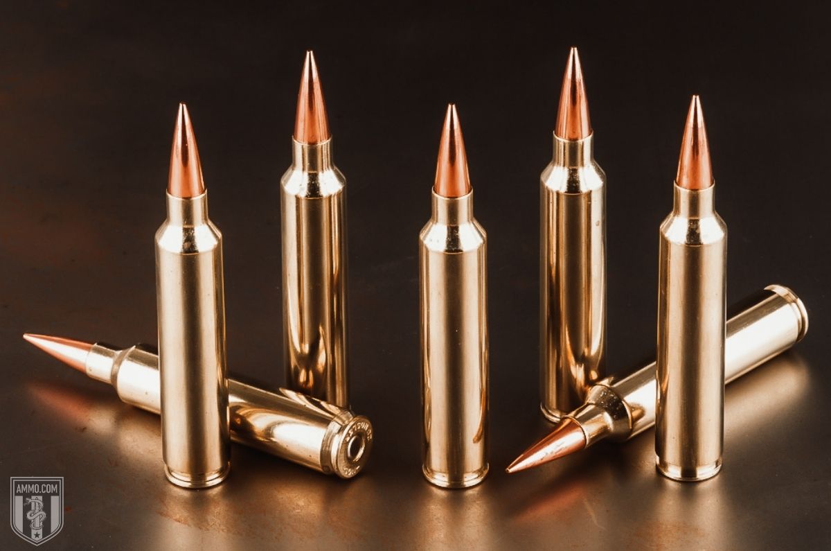 30 Nosler ammunition