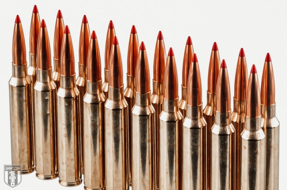 300 PRC vs. .300 Win Mag: Rifle Cartridge Comparison Review - Shooting Times