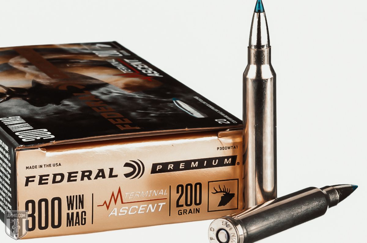 300 Win Mag ammo for sale