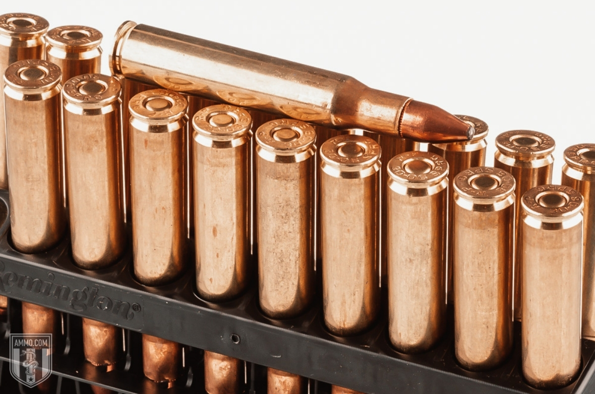 .308 Winchester ammo for sale