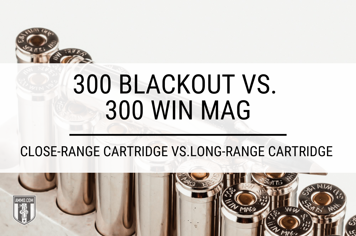 300 Blackout vs 300 Win Mag