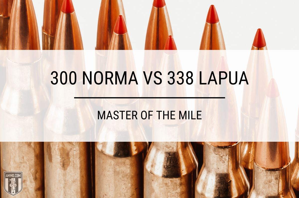 300 Norma vs 338 Lapua
