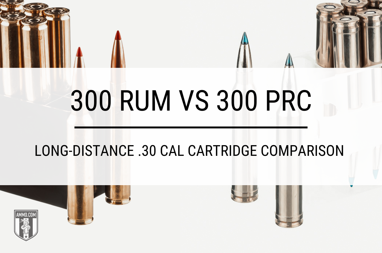 300 RUM vs 300 PRC