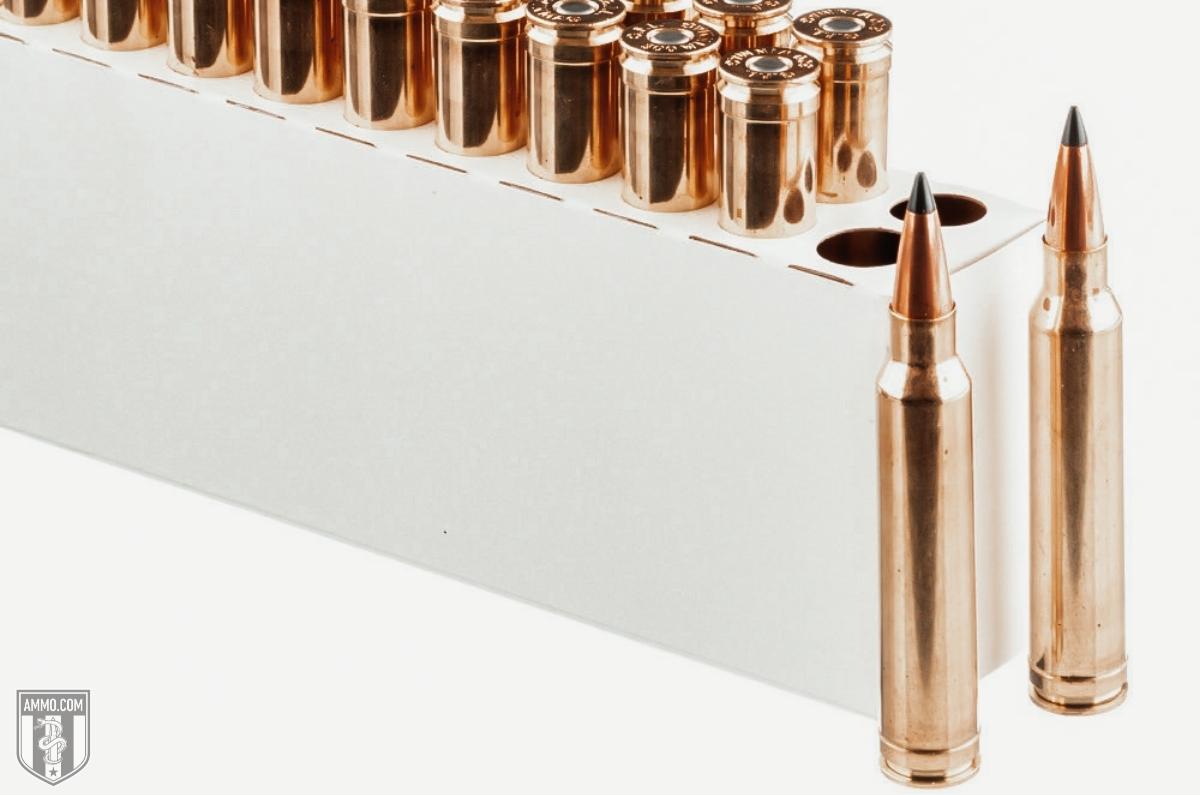 30-06 Springfield Cartridge Profile: 10 Pros and Cons 