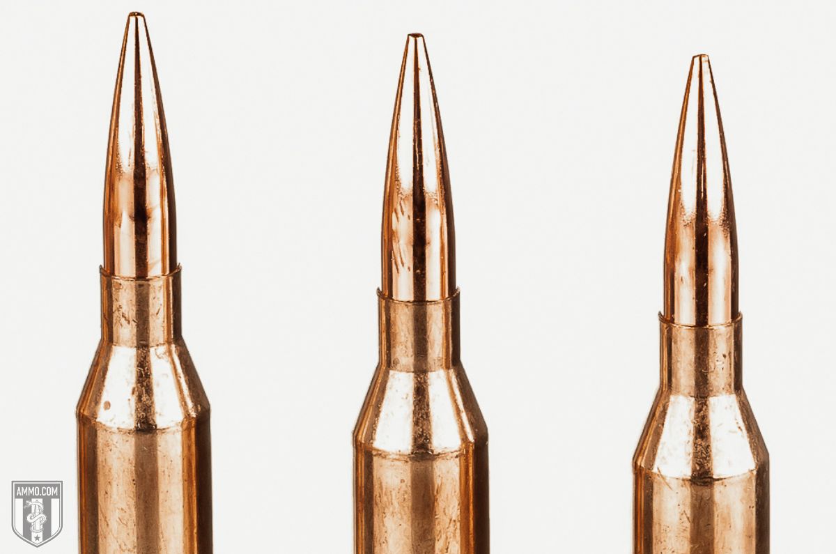 300 Win Mag VS 308 - Wideners Shooting, Hunting & Gun Blog