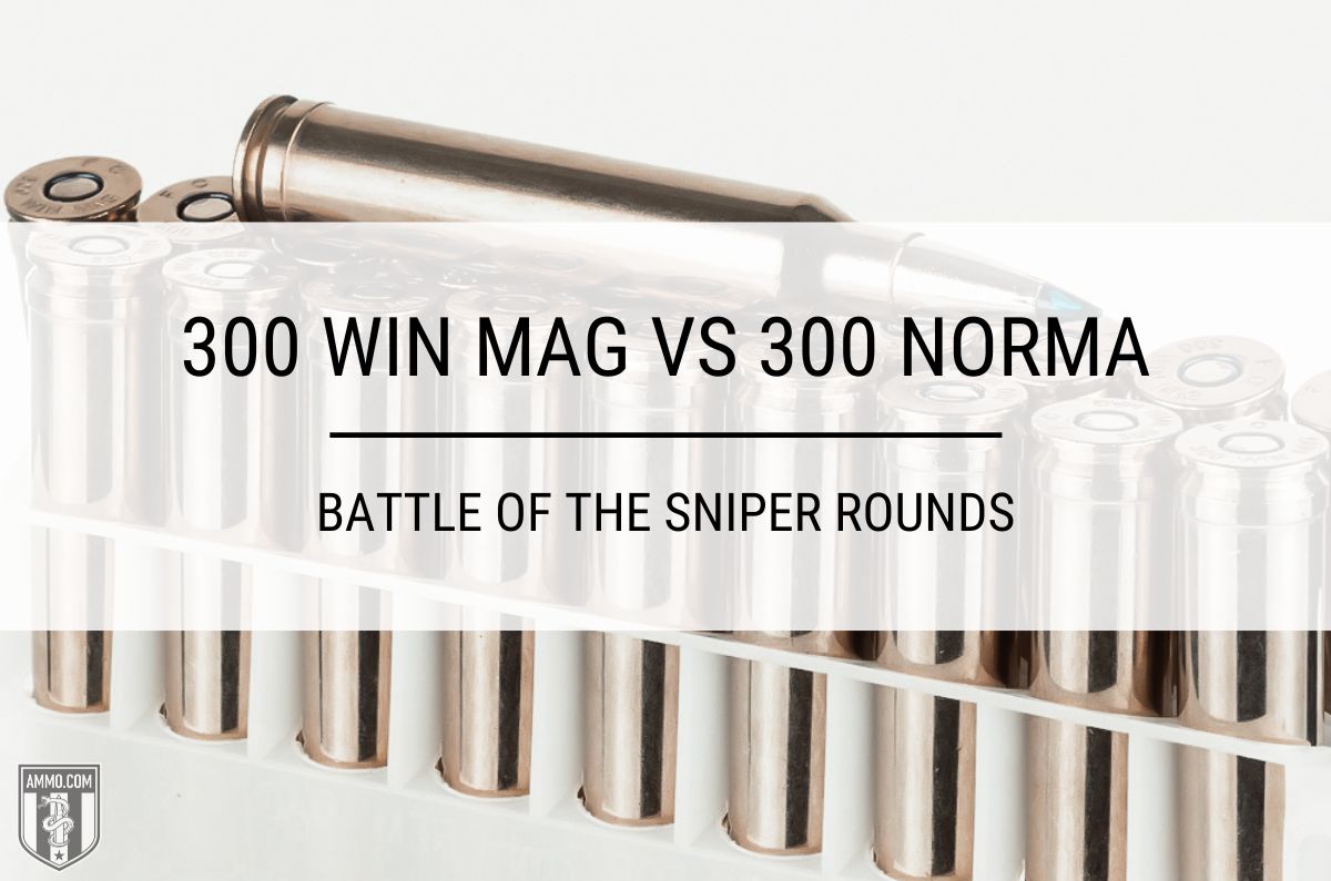 300 Win Mag vs 300 Norma