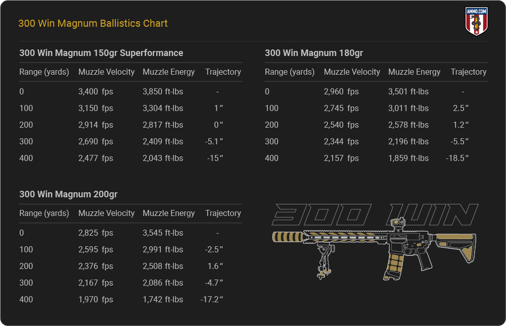 300 Winchester Magnum Ballistics table