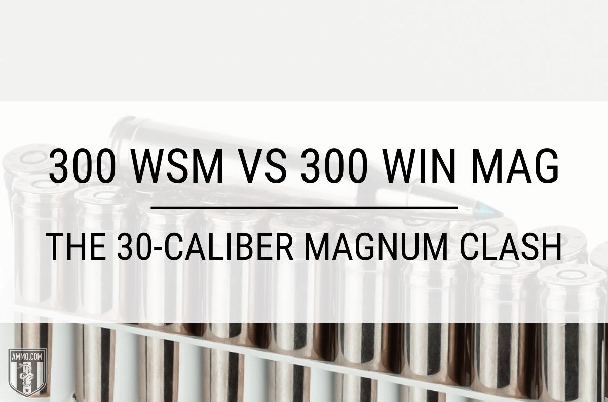 300 wsm vs 300 win mag