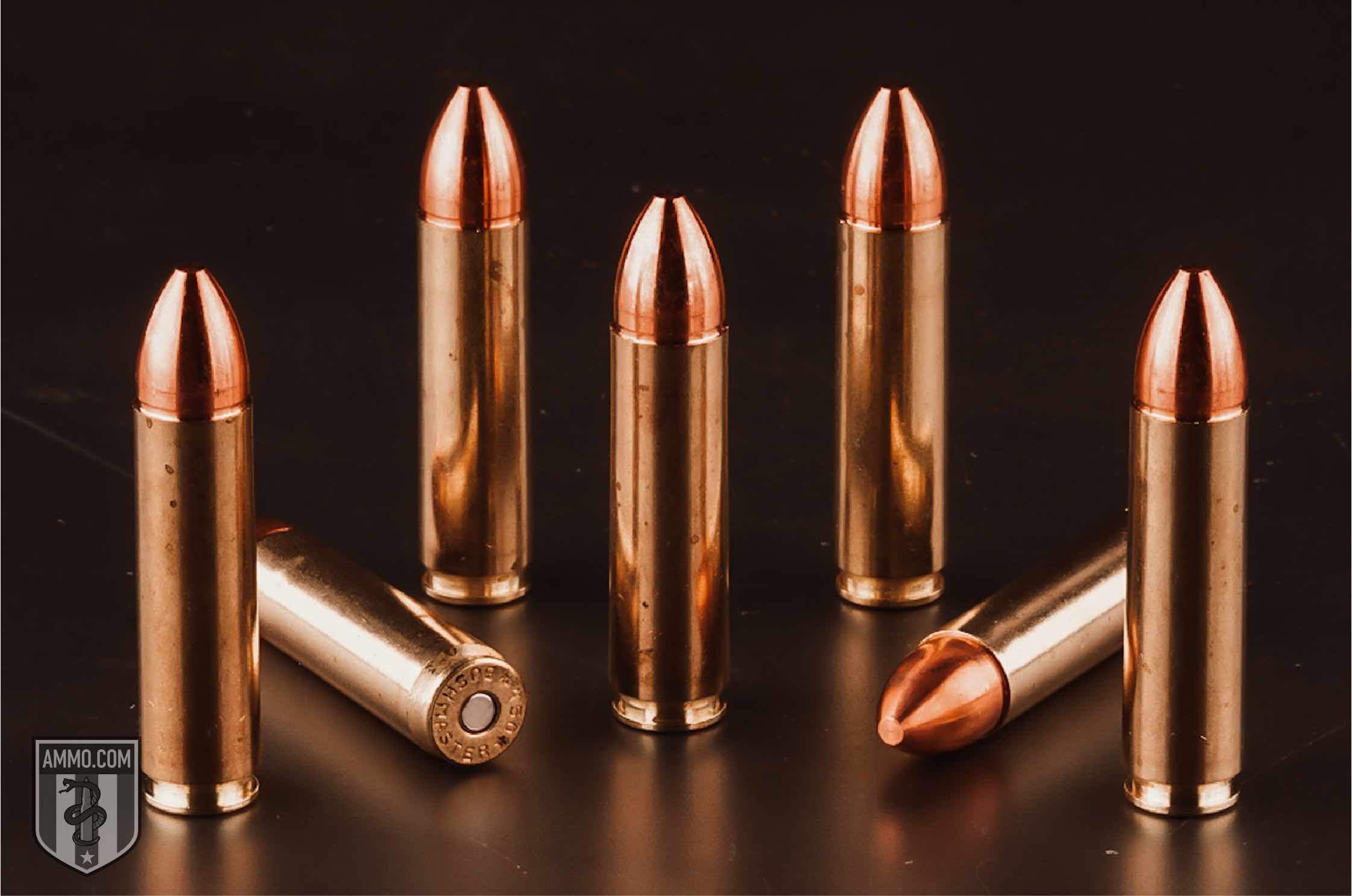 shop 450 bushmaster ammo