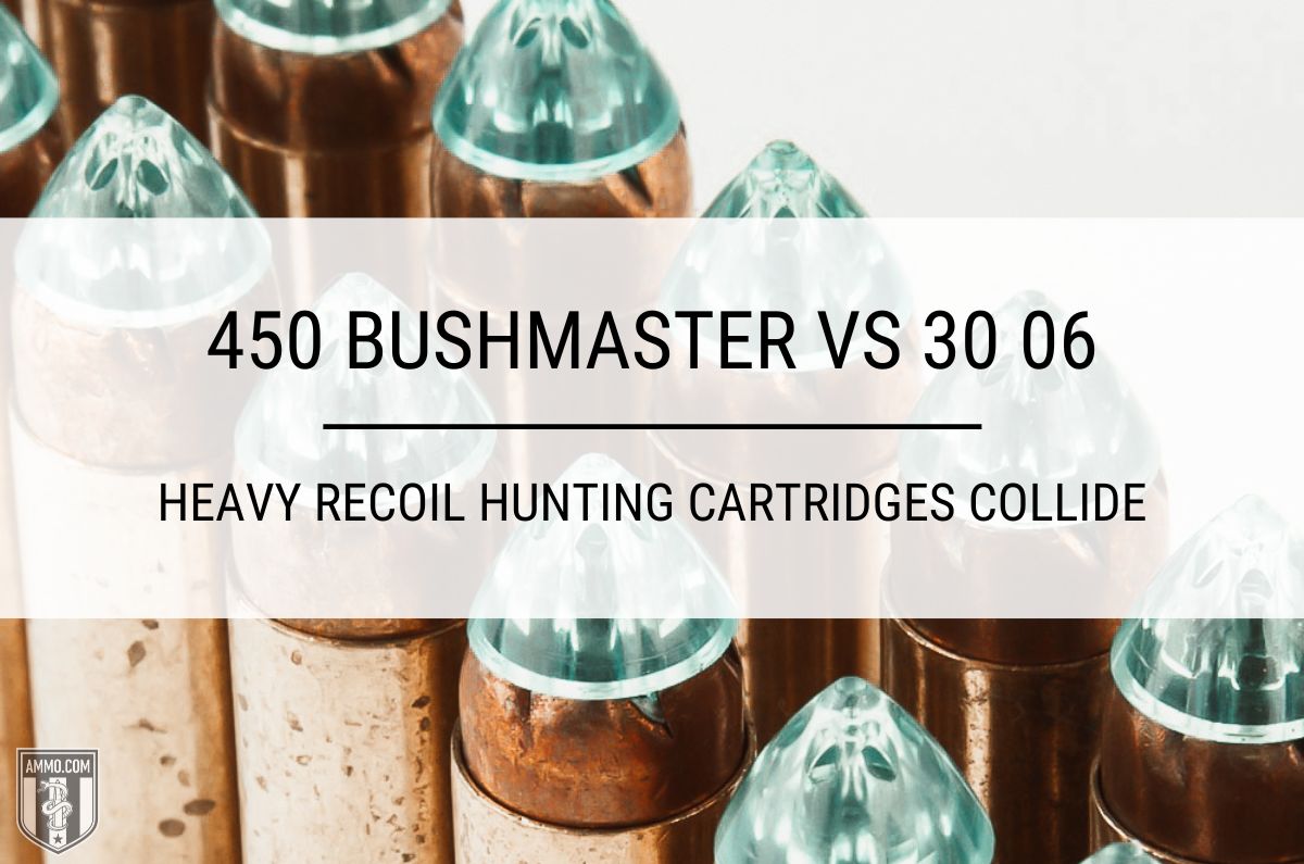 450 Bushmaster vs 30 06 ammo