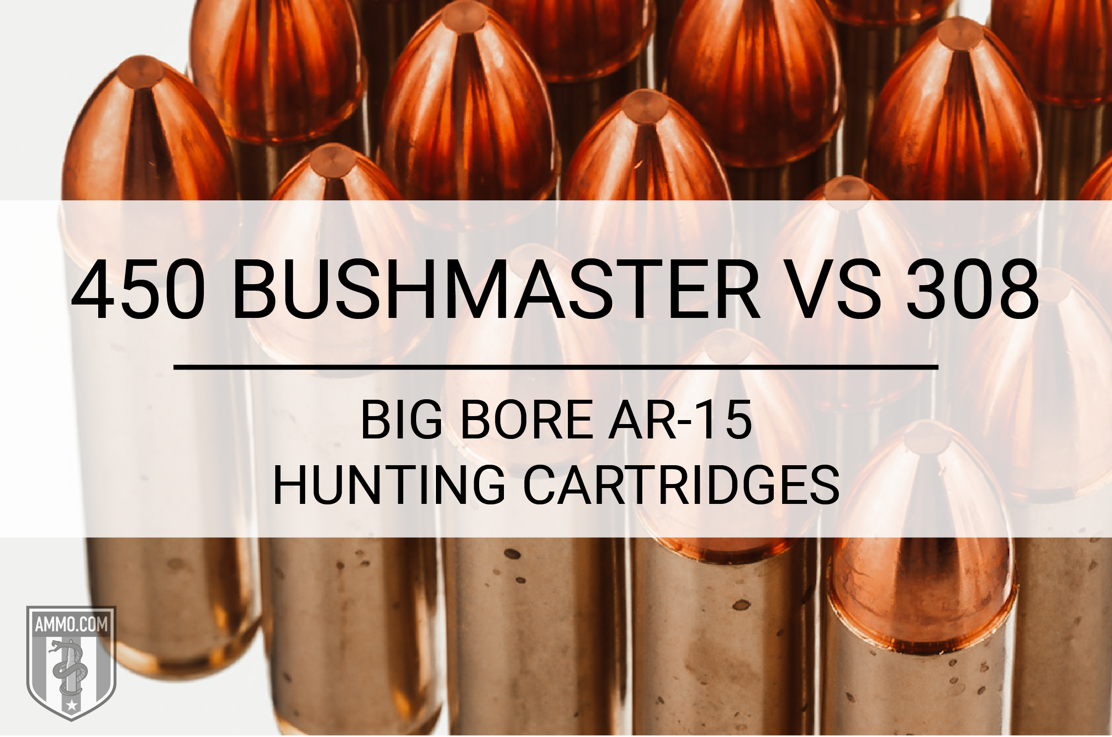 450 Bushmaster vs 308
