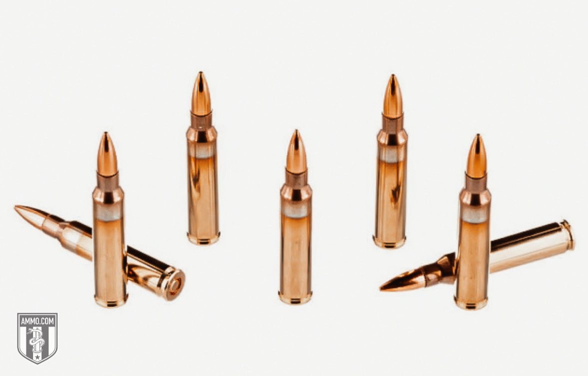 5.56 vs. 9mm: Which Carbine Cartridge Is Better For You?