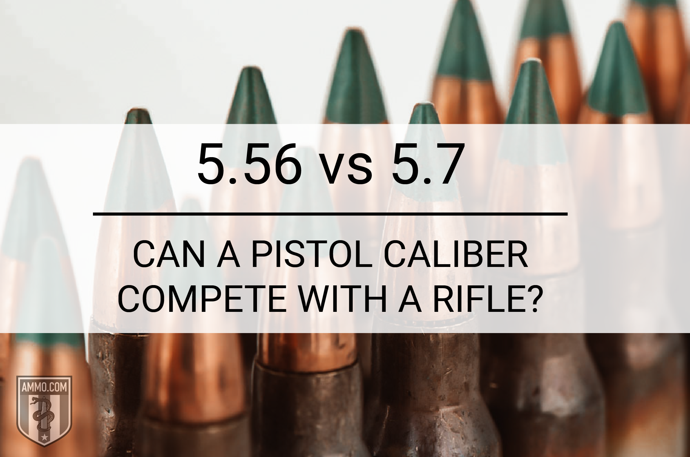 22LR vs 223 (5.56mm) what's the difference?