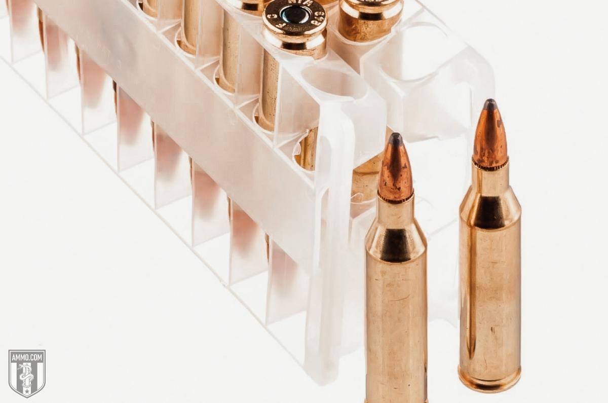 243 ammo for sale