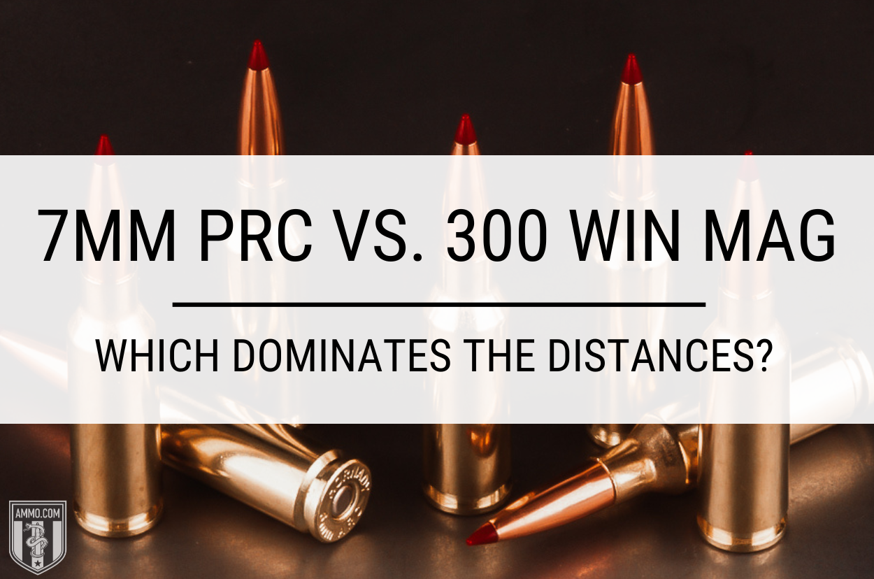 ammo.com