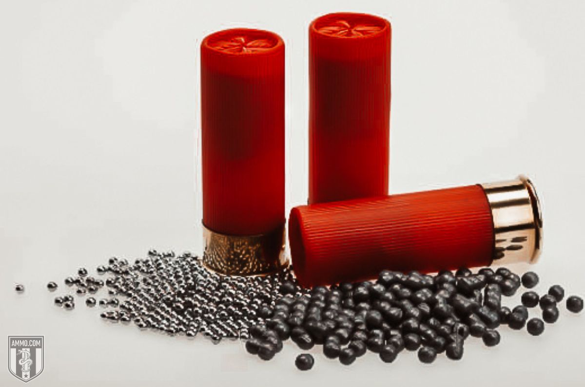 Shotgun pellets