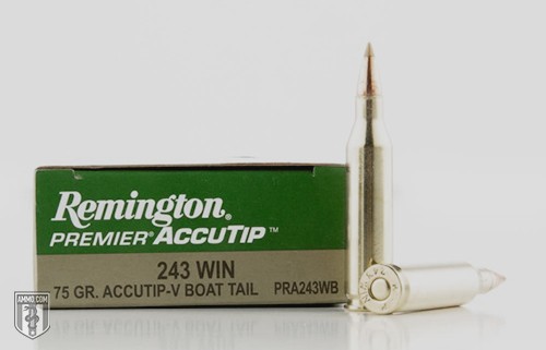 Accutip-V Bullet