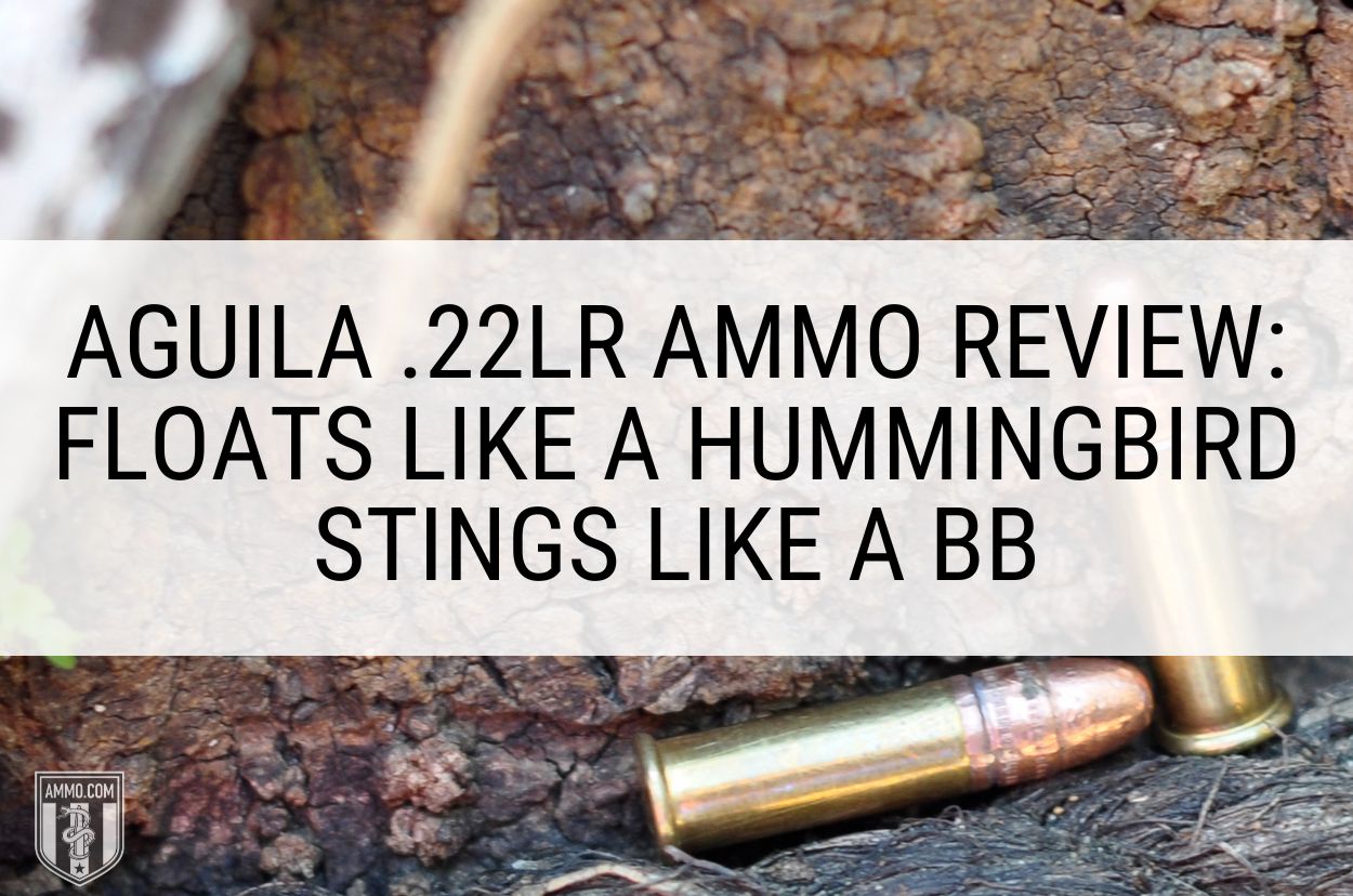 Aguila .22LR Ammo Review