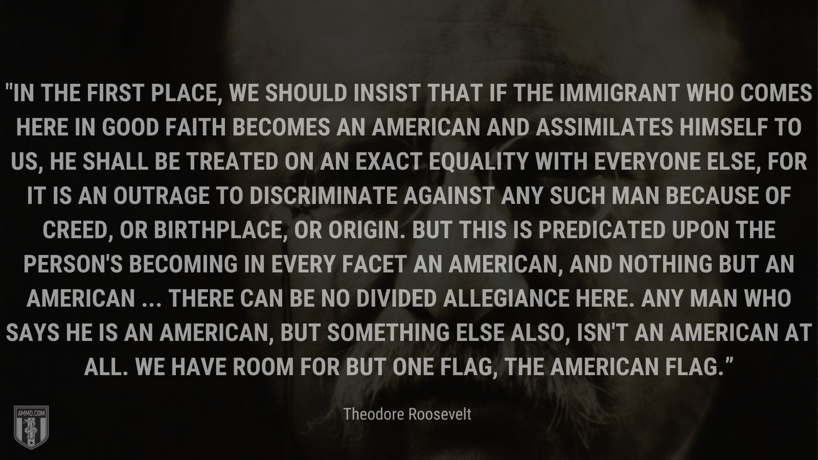 “In the first place, we should insist that if the immigrant who comes here in good faith becomes an American and assimilates himself to us, he shall be treated on an exact equality with everyone else, for it is an outrage to discriminate against any such man because of creed, or birthplace, or origin. But this is predicated upon the person's becoming in every facet an American, and nothing but an American ... There can be no divided allegiance here. Any man who says he is an American, but something else also, isn't an American at all. We have room for but one flag, the American flag.” - Theodore Roosevelt