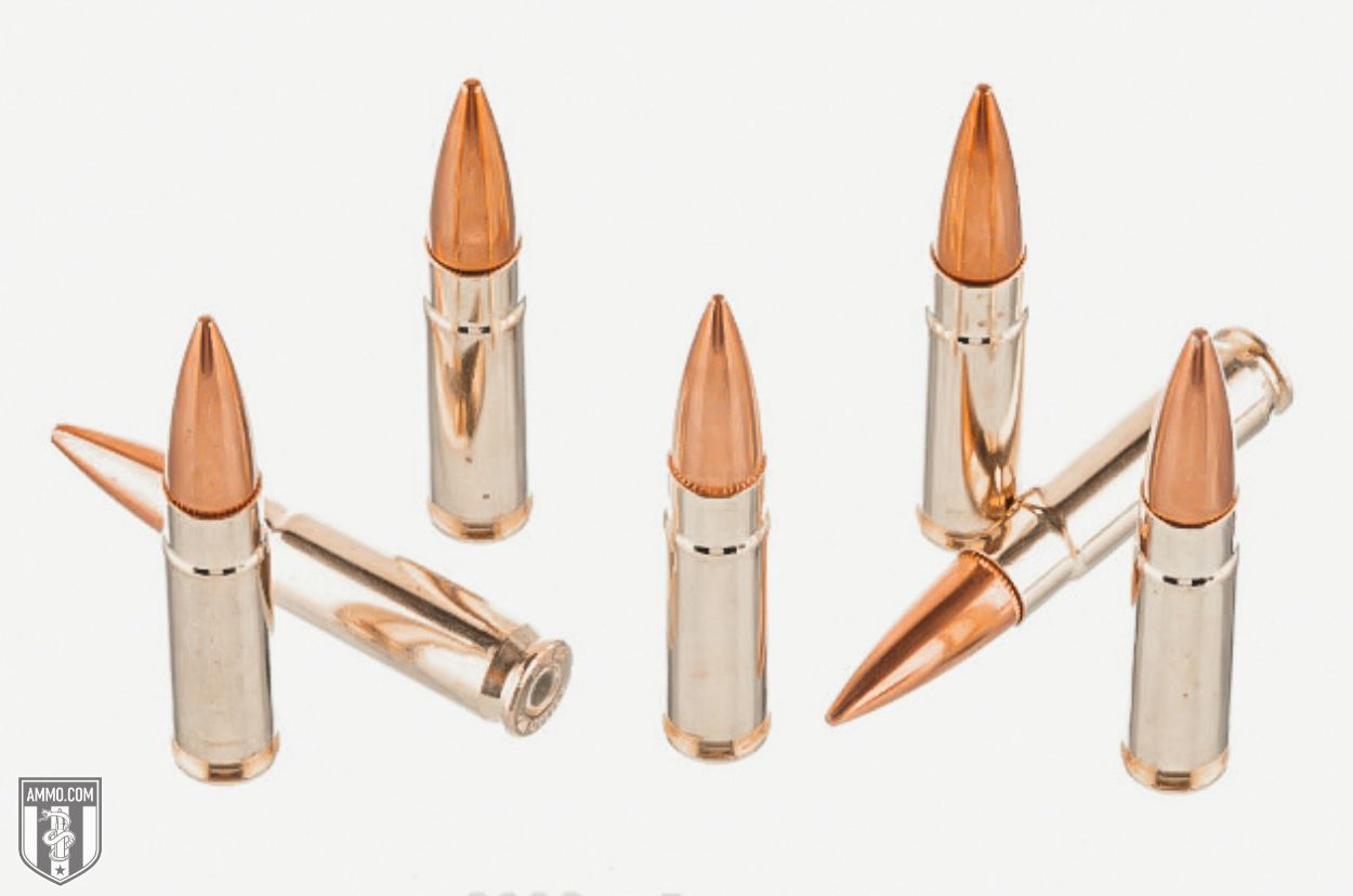 Barnaul Ammo: 410 with brass coated case