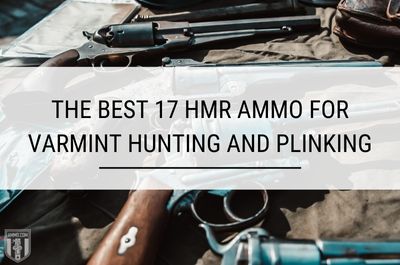 The Best 17 HMR Ammo for Varmint Hunting and Plinking