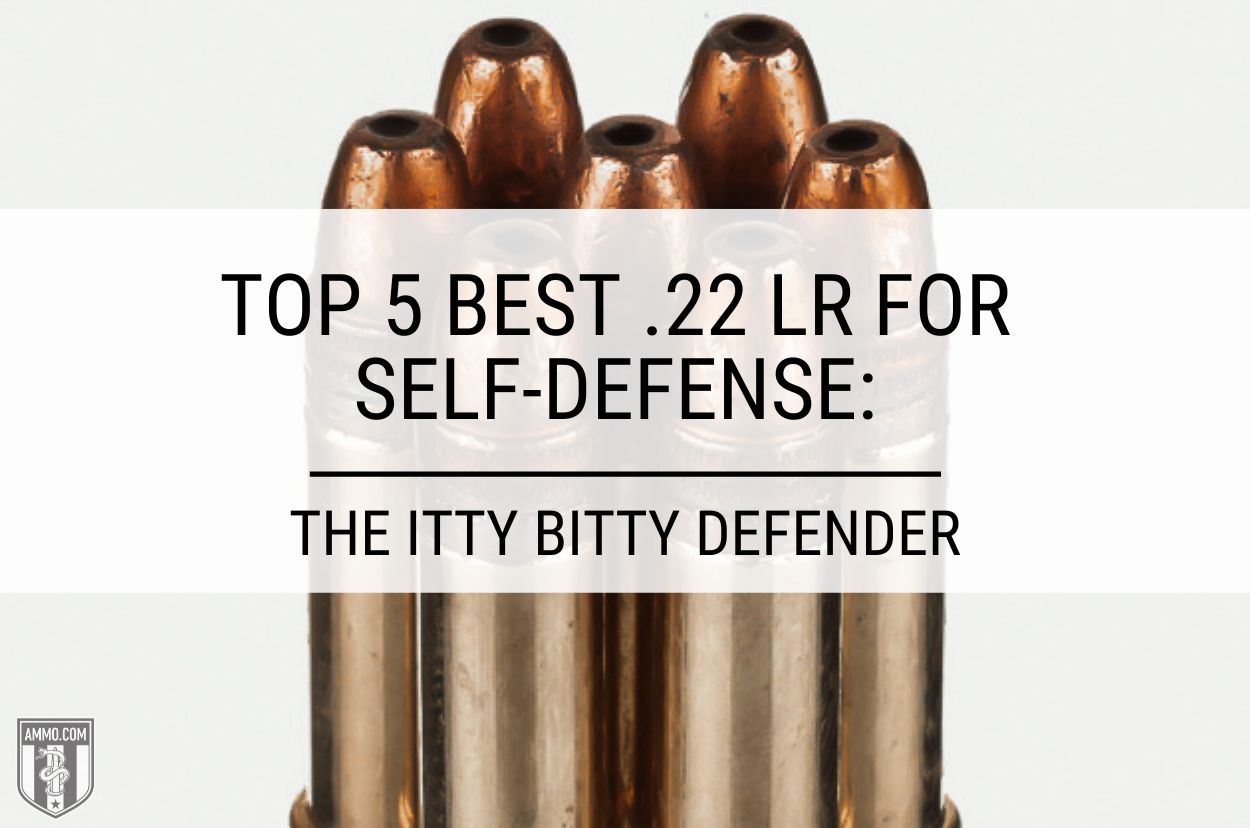Top 5 Best .22 LR for Self-Defense