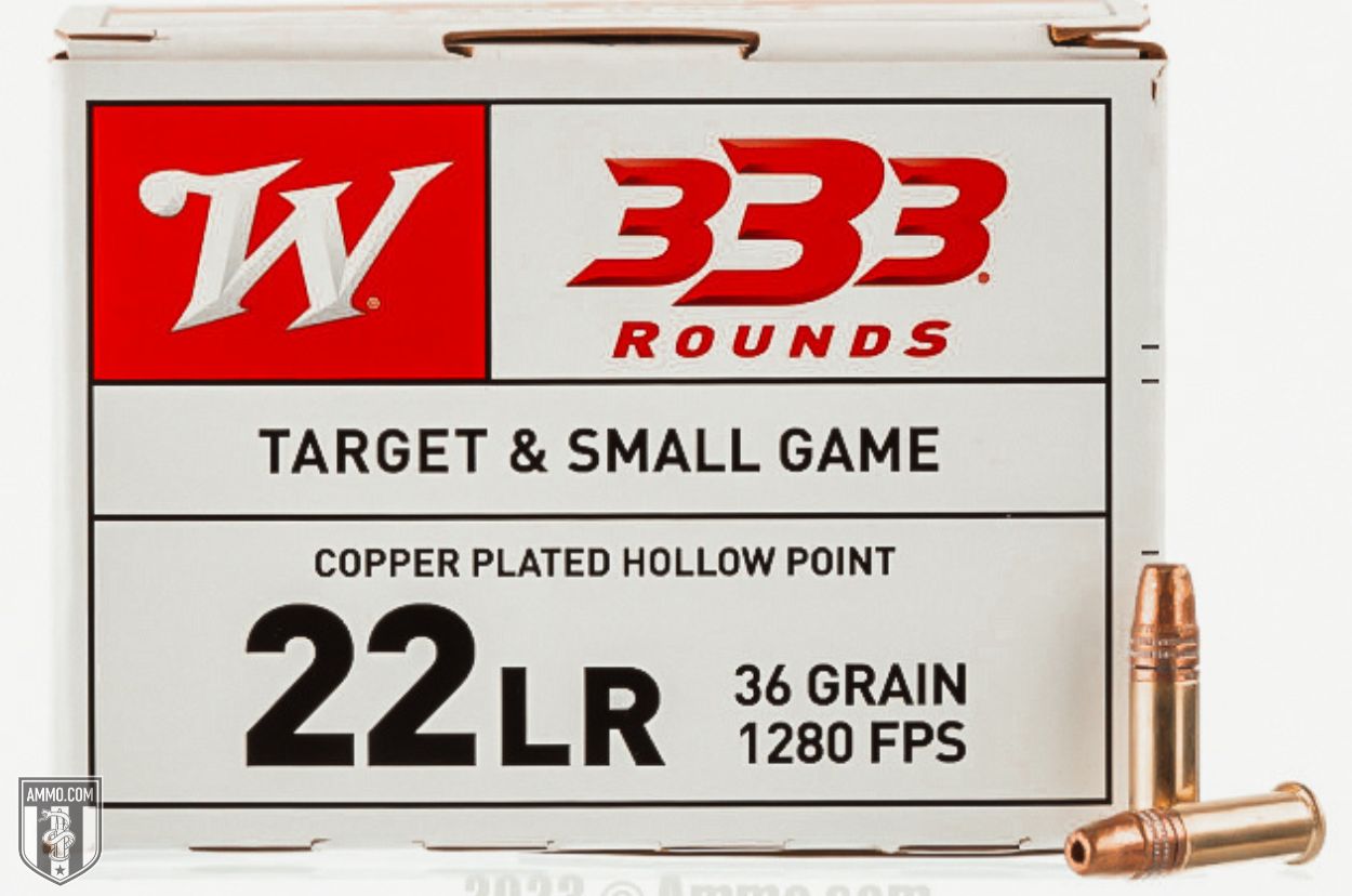 Winchester Target & Small Game 22 LR ammo for sale