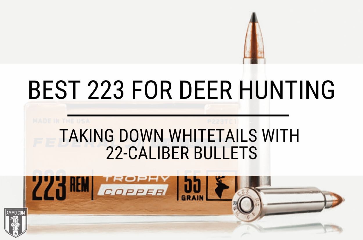 Best 223 for Deer Hunting